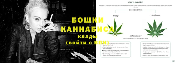ГАЛЛЮЦИНОГЕННЫЕ ГРИБЫ Алексин