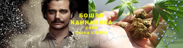 ГАЛЛЮЦИНОГЕННЫЕ ГРИБЫ Алексин