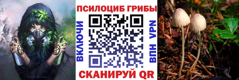 Псилоцибиновые грибы GOLDEN TEACHER  OMG зеркало  Черкесск 
