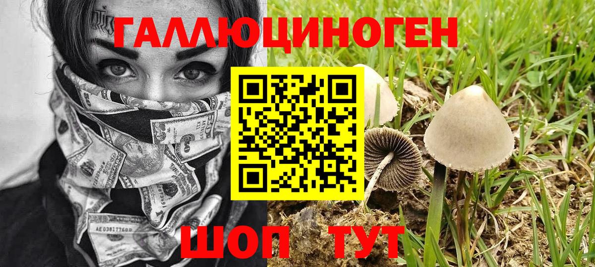 Галлюциногенные грибы GOLDEN TEACHER Черкесск