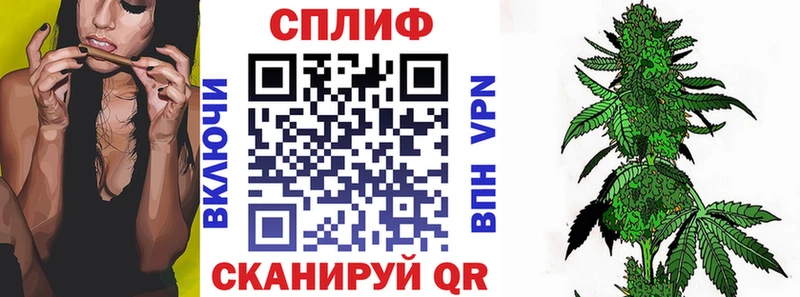 Марихуана индика  наркошоп  Черкесск 